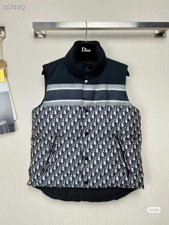 Picture of Dior Down Jackets _SKUDiorS-2XL26yr2037768